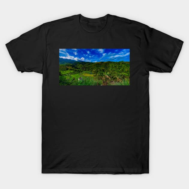 Philippine Highlands T-Shirt by likbatonboot
